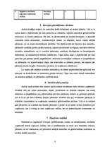 Referāts 'Audita veikšanas process uzņēmumā SIA "Dienas Bizness"', 8.