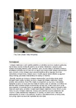 Referāts 'Laktozes nepanesamība un kā ar to dzīvot', 12.