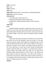 Prakses atskaite 'Prakse sākumskolā', 1.