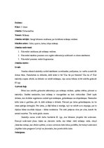 Prakses atskaite 'Prakse sākumskolā', 3.