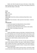 Prakses atskaite 'Prakse sākumskolā', 4.