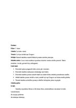 Prakses atskaite 'Prakse sākumskolā', 7.