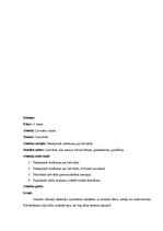 Prakses atskaite 'Prakse sākumskolā', 9.