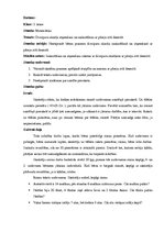 Prakses atskaite 'Prakse sākumskolā', 16.