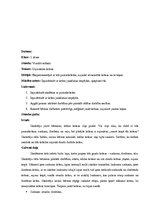 Prakses atskaite 'Prakse sākumskolā', 18.