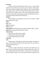 Prakses atskaite 'Prakse sākumskolā', 20.