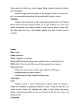 Prakses atskaite 'Prakse sākumskolā', 21.