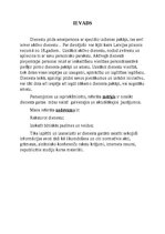 Referāts 'Personāla vadība un dienesta gaitas', 3.