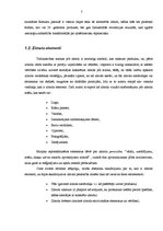 Referāts 'Zīmola nozīme uzņēmumā', 7.