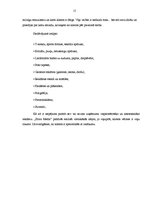 Referāts 'Zīmola nozīme uzņēmumā', 15.