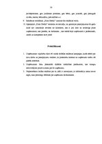 Referāts 'Zīmola nozīme uzņēmumā', 26.