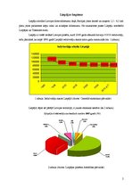 Konspekts 'Liepājas kopienas analīze', 2.