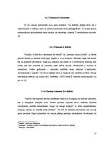 Referāts 'Kaķu ēdināšana', 17.