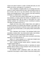 Referāts 'Kaķu ēdināšana', 19.