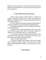 Referāts 'Kaķu ēdināšana', 26.