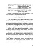 Referāts 'Kaķu ēdināšana', 30.