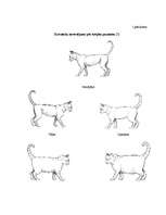 Referāts 'Kaķu ēdināšana', 56.