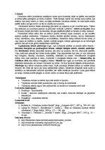 Referāts 'Mūzika un teātris romānikā un gotikā', 2.