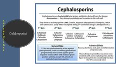 Prezentācija 'Pirmās un otrās paaudzes cefalosporīnu farmakokinētisko un farmakodinamisko īpaš', 3.