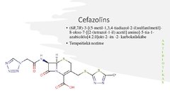 Prezentācija 'Pirmās un otrās paaudzes cefalosporīnu farmakokinētisko un farmakodinamisko īpaš', 6.