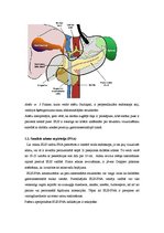 Referāts 'Endoskopiskā ultrasonogrāfija', 3.