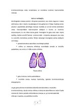 Referāts 'Bronhiālā astma', 7.