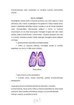 Referāts 'Bronhiālā astma', 7.