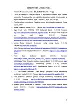 Referāts 'Valsts obligācijas un eiroobligācijas', 19.