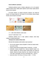 Prakses atskaite 'Prakses atskaite Citadeles bankā', 21.