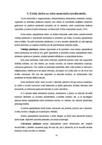 Prakses atskaite 'Prakses atskaite Citadeles bankā', 38.