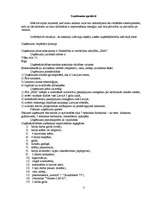 Biznesa plāns 'Sabiedrība ar ierobežotu atbildību „IMA”', 3.