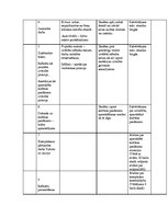 Konspekts 'Mācību stundu tematiskais plānojums', 4.