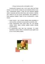 Referāts 'Eiropas Savienības lauksaimniecības politika', 7.