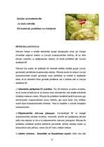 Referāts 'Eiropas Savienības lauksaimniecības politika', 22.