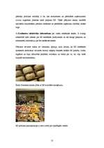 Referāts 'Eiropas Savienības lauksaimniecības politika', 23.