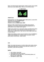 Referāts 'Ģeometriskās figūras Tukuma arhitektūrā', 12.