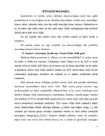 Referāts 'Etnocentrisma klātesamības novērošana pētnieciskajos darbos, vadoties no autoru ', 4.