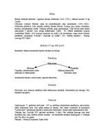 Konspekts 'Mākslas vēsture', 11.