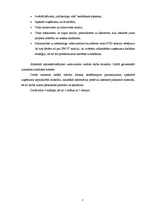 Referāts 'SIA "Amber nekustamie īpašumi" mārketinga vides analīze', 3.