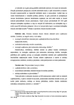 Referāts 'SIA "Amber nekustamie īpašumi" mārketinga vides analīze', 7.