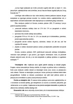 Referāts 'SIA "Amber nekustamie īpašumi" mārketinga vides analīze', 8.