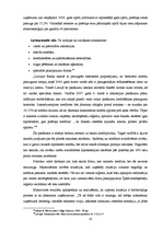 Referāts 'SIA "Amber nekustamie īpašumi" mārketinga vides analīze', 10.