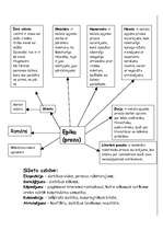 Konspekts 'Dzeja, proza, dramaturģija', 1.