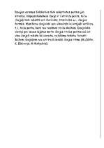 Konspekts 'Dzeja, proza, dramaturģija', 4.