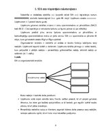 Prakses atskaite 'Finanšu vadības prakses atskaite', 4.