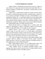 Prakses atskaite 'Finanšu vadības prakses atskaite', 19.