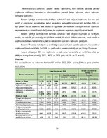 Prakses atskaite 'Finanšu vadības prakses atskaite', 20.