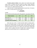 Prakses atskaite 'Finanšu vadības prakses atskaite', 29.