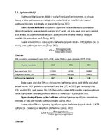 Prakses atskaite 'Finanšu vadības prakses atskaite', 30.