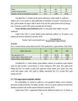 Prakses atskaite 'Finanšu vadības prakses atskaite', 33.